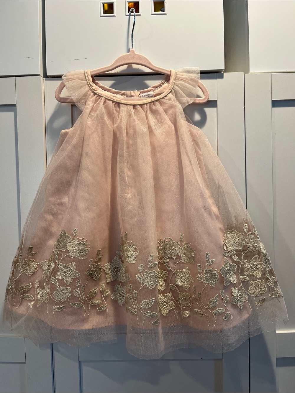 Baby Girls' Pink Floral Embroidered Tulle Dress
